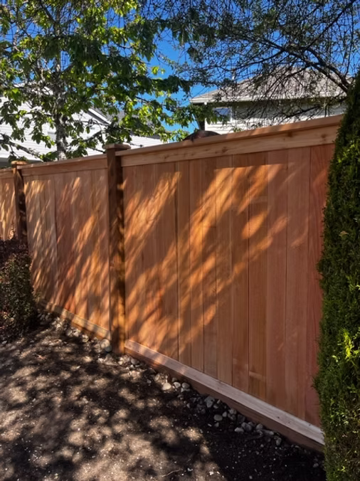 A wooden privacy fence casts shadows from trees above in a sunny residential yard.